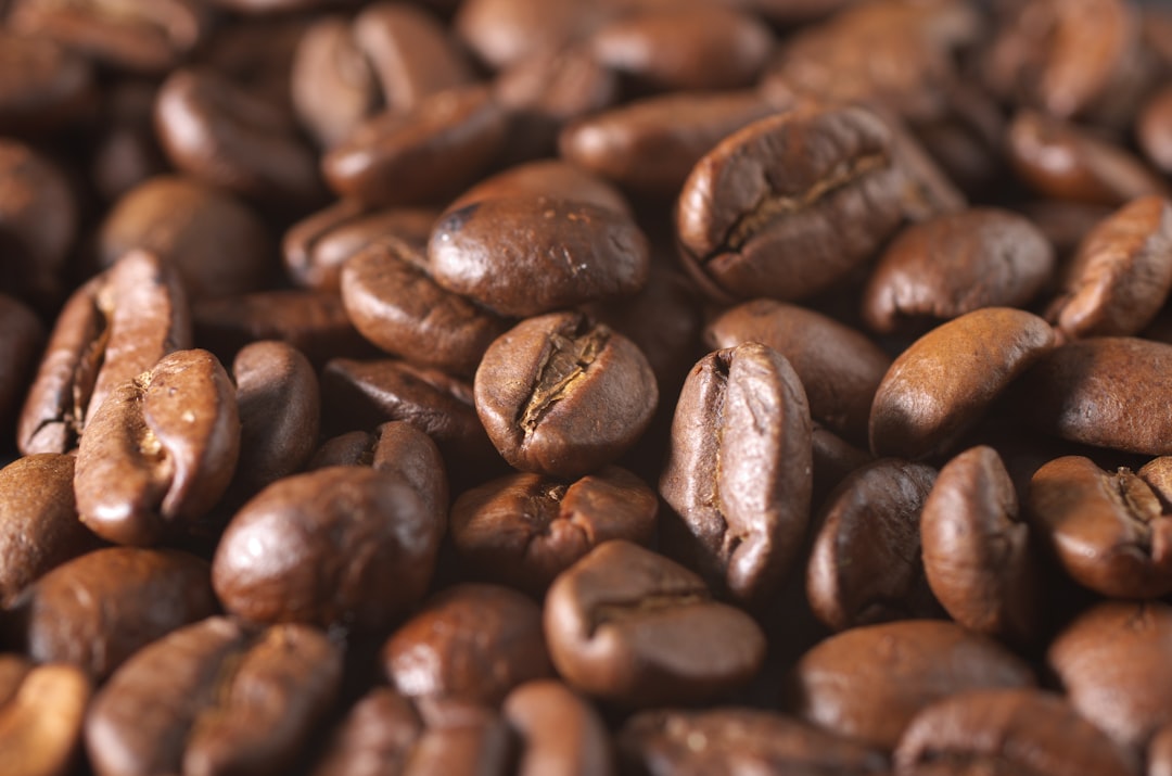 coffee beans close-up