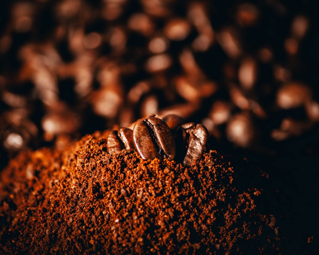 Macro photography of coffee beans on grounded coffee